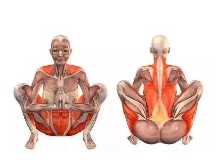 瑜伽動(dòng)作小課堂！