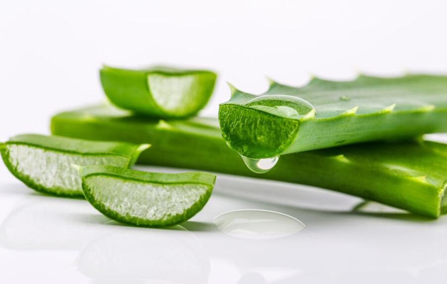 廣西美容學(xué)校：蘆薈如何美容護膚