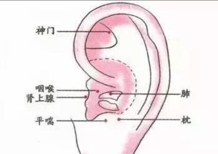 如何正確艾灸耳朵？南寧美容學(xué)校幫你整理教程