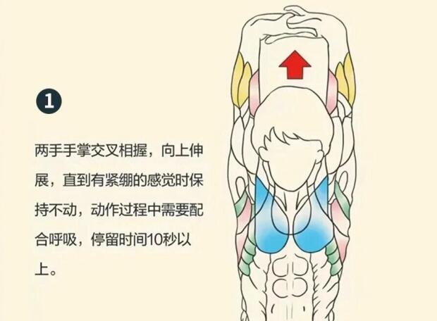 南寧美容師培訓(xùn)要學(xué)什么？背部護(hù)理就是其中一項