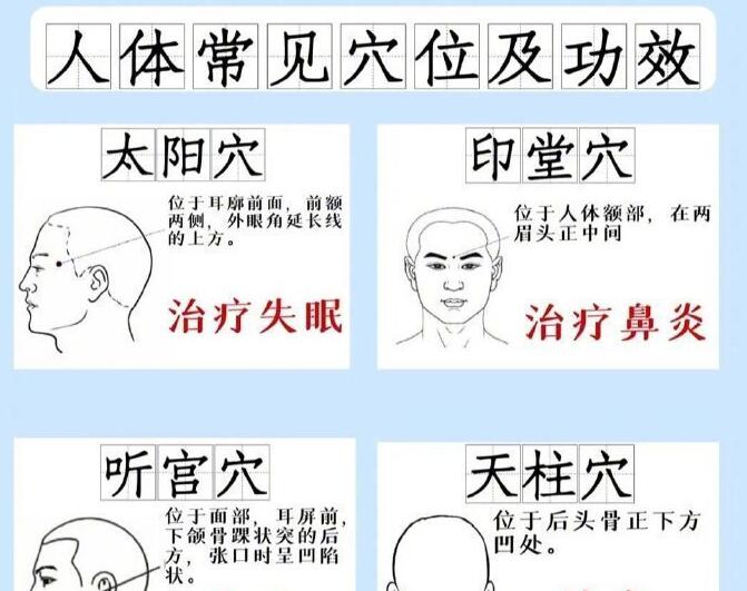 人體常見(jiàn)穴 位及功效，廣西專業(yè)正規(guī)美容學(xué)校講解