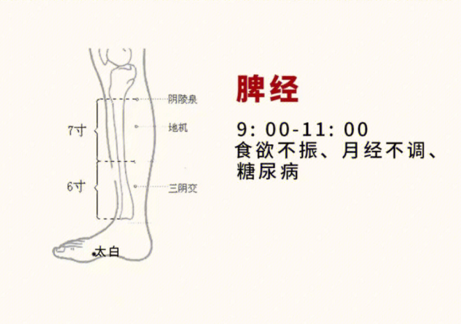 日常容易堵塞的身體部位，廣西美容基礎(chǔ)教學(xué)