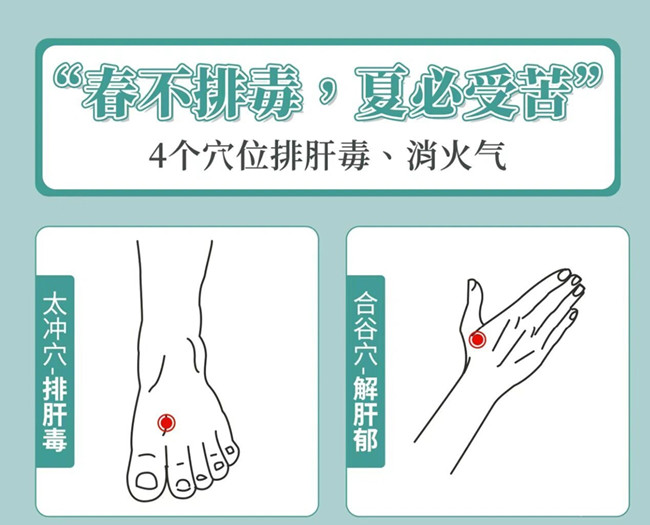 南寧美容健康管理：春季如何養(yǎng)生？