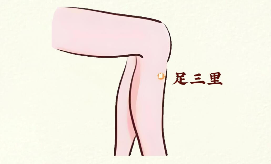 1732500535309660.jpg 1.jpg